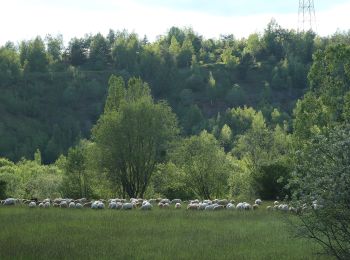 Trail On foot Dudelange - Auto-Pédestre Dudelange 2 - Photo