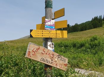 Tocht Stappen Saint-Véran - saint véranda les hameaux le champ et le raux - Photo