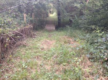 Excursión Senderismo La Bosse - Rosay et Jugeaux var - Photo
