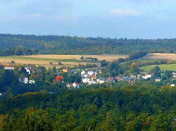 Percorso A piedi Bad Schwalbach - Schwälbchen's Flug - Photo