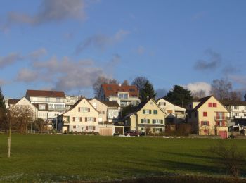 Trail On foot Wetzikon (ZH) - Oberwetzikon - Pfäffikon - Photo