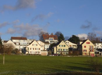 Tocht Te voet Wetzikon (ZH) - Oberwetzikon - Pfäffikon - Photo