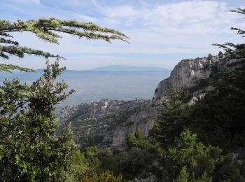 Trail Walking Oppède - PF-Oppède - Le Vallon de Combrès - Le Sautadou du Bausset - Photo