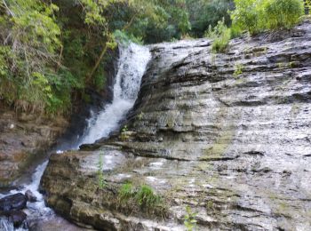 Excursión Senderismo Saint-Gineys-en-Coiron - la claduegne - Photo