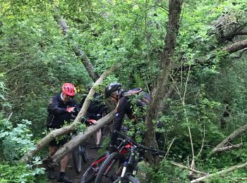 Trail Mountain bike Visé - 20190515 Yeyette chez Mijo - Photo