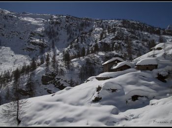 Percorso A piedi Ceresole Reale - IT-520 - Photo