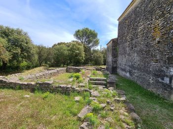 Randonnée Marche Aubais - Moulin_Carrieres_Aigues_Vives - Photo