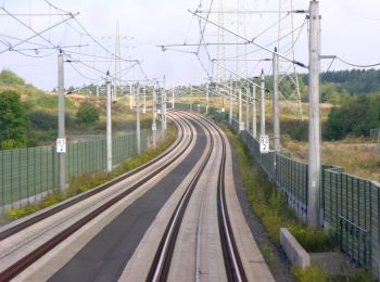 Randonnée A pied Hundsdorf - Rundweg Ransbach-Baumbach - Photo