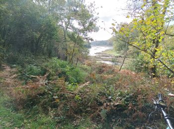 Excursión Bici de montaña Carnac - Boucle Carnac- Auray Crach - Photo