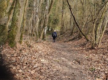 Tour Wandern Naveil - Mondétour - Photo