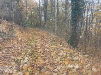 Randonnée Marche Liederschiedt - Le Sentier des Roches à Liederschiedt - Photo