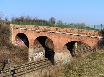 Tour Zu Fuß Gemeinde Guntramsdorf - Playfit Runde (Guntramsdorf) - Photo