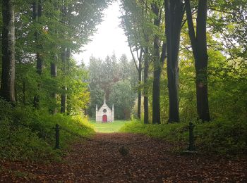 Trail Walking Hédouville - Hedouville  - Photo