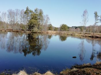 Randonnée Marche Peyrelevade - Fred les Fontaines de Cezeyrat  - Photo