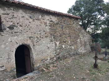 Excursión Senderismo Caixas - Fontcouverte 3 chapelles - Photo