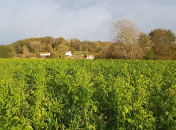 Trail Nordic walking Chaumont-Gistoux - dion bercuyt pisselet - Photo