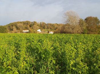 Randonnée Marche nordique Chaumont-Gistoux - dion bercuyt pisselet - Photo