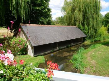 Trail Walking Cangey - Cangey - PR Entre Vignes et Forêts - 10km 115m 2h15 - 2023 07 05 - Photo