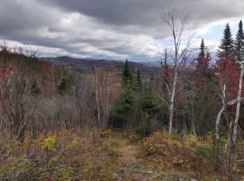 Tocht Stappen Lac-Matapédia - Les crêtes  - Photo