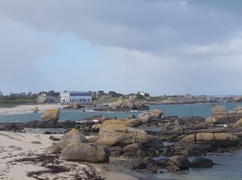 Excursión Senderismo Plounéour-Brignogan-Plages - brignogan - Photo