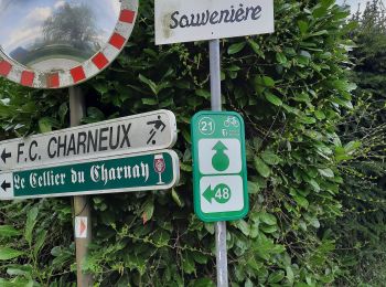 Trail Electric bike Herve - Balade vélo au pays de Herve 2022.04.14 - Photo