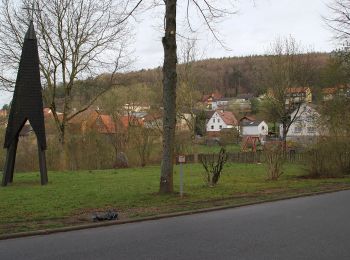 Excursión A pie Schöllkrippener Forst - Schwarzer Fuchs, Rundwanderweg Sommerkahl - Photo