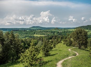 Trail On foot Bad Staffelstein - Terrainkurweg 6 Bad Staffelstein - Photo