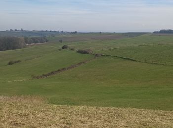 Trail Walking Rott - Cherbourg Roth Oberhoffen - Photo