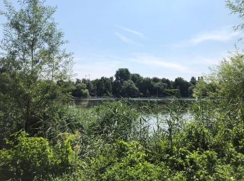 Randonnée Vélo de route Rixensart - Promenade verte - Photo