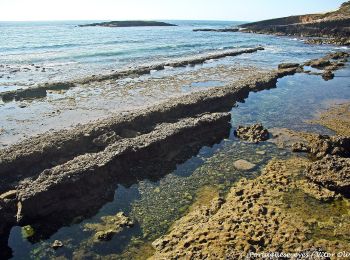 Tocht Te voet Longueira/Almograve - Dunas do Almograve - Photo