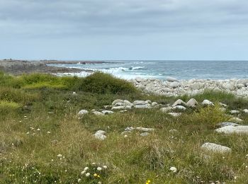 Trail Walking Trébeurden - Île grande  - Photo