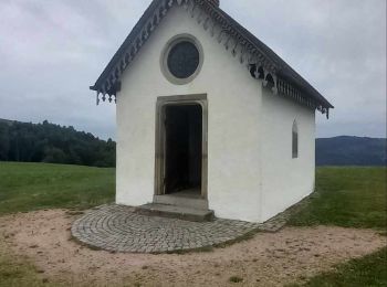 Randonnée Marche Le Thillot - Le thillot La chapelle des Vés, l he haut de la lochère - Photo