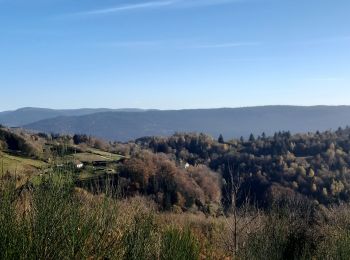 Randonnée Marche nordique Basse-sur-le-Rupt - Planois - Le haut du Roc  - Photo