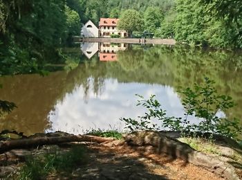 Tour Mountainbike Lützelstein - la petite pierre - Photo