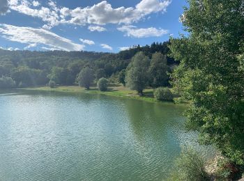 Tour Zu Fuß Matafelon-Granges - Les 2 Vallées - Photo