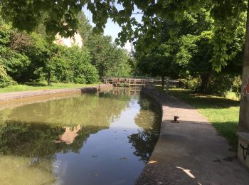 Percorso Marcia Gardouch - Le canal du Midi - Photo