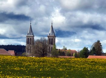 Trail Walking Boujailles - Boujailles 2024 - Photo