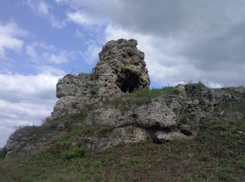 Tocht Te voet Chrzanów - Zielone perły Trzebini - Photo