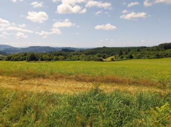 Trail Walking Saint-Rémy-sur-Durolle - saint remy 11km - Photo