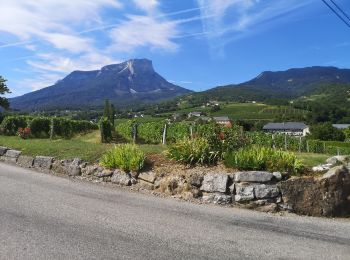 Excursión Senderismo Apremont - 20190816 - Bélisay (Myans) - Photo