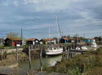 Trail On foot Saint-Just-Luzac - le Moulin des loges  Mauzac 17   -8 km 400 - Photo