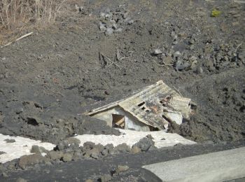 Randonnée A pied Zafferana Etnea - Sentiero delle Ginestre tappa 2 - Photo