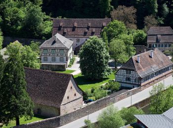 Tocht Te voet Wildberg - AugenBlick-Runde Wildberg - Photo