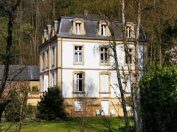 Randonnée A pied Luxembourg - Circuit Godchaux - Photo