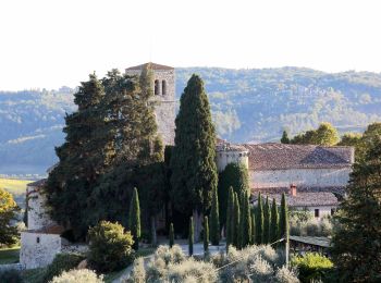 Excursión A pie Gaiole in Chianti - Trekking tra i castelli 11 - Photo