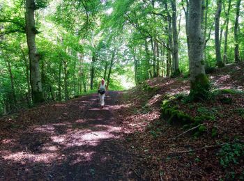 Randonnée Marche Bromont-Lamothe - Le Puy de Moufle  - Photo