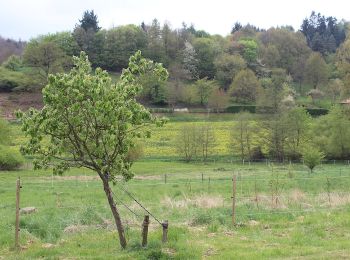 Randonnée A pied Göllheim - Adolf von Nassau Wanderweg - Photo