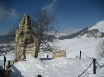 Tour Zu Fuß Dolcè - Dorsale Media della Lessinia - Photo