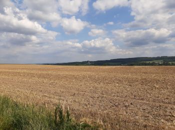 Tour Wandern Anhée - Maredsous 18/07/20 - Photo