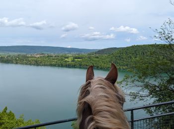 Trail Horseback riding Menétrux-en-Joux - suuntoapp-HorsebackRiding-2024-05-18T07-33-28Z - Photo